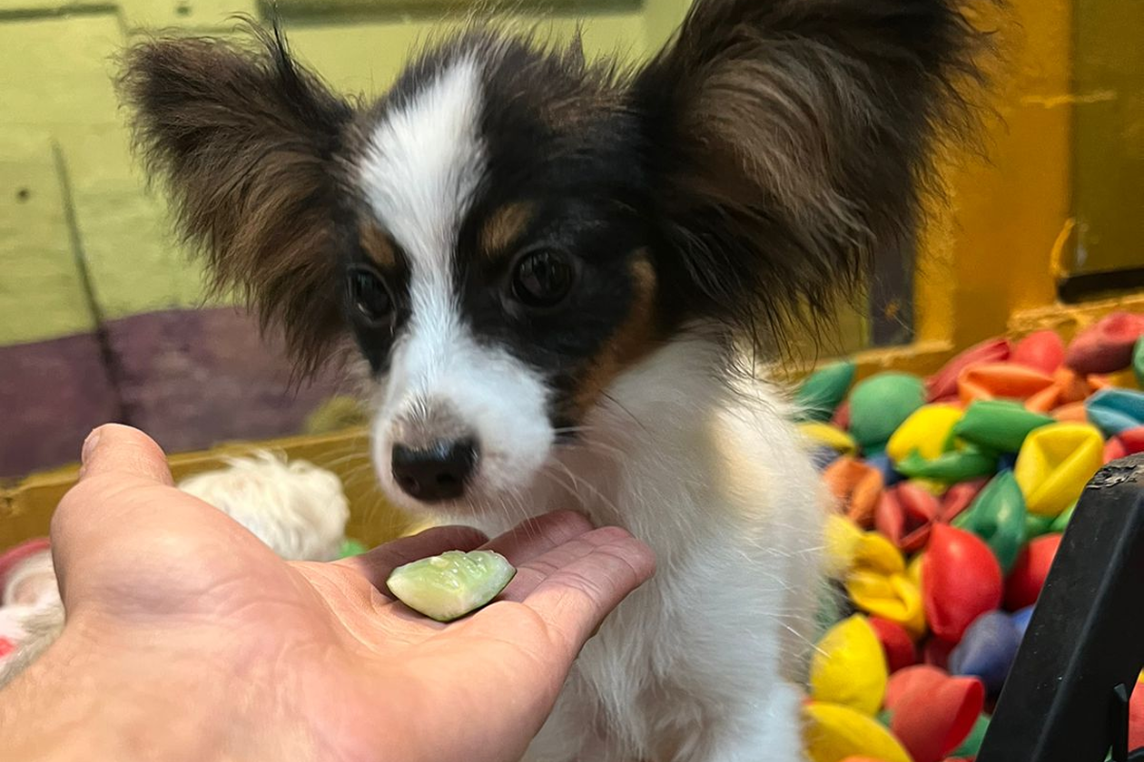 20230209153325_IMG_4170 1