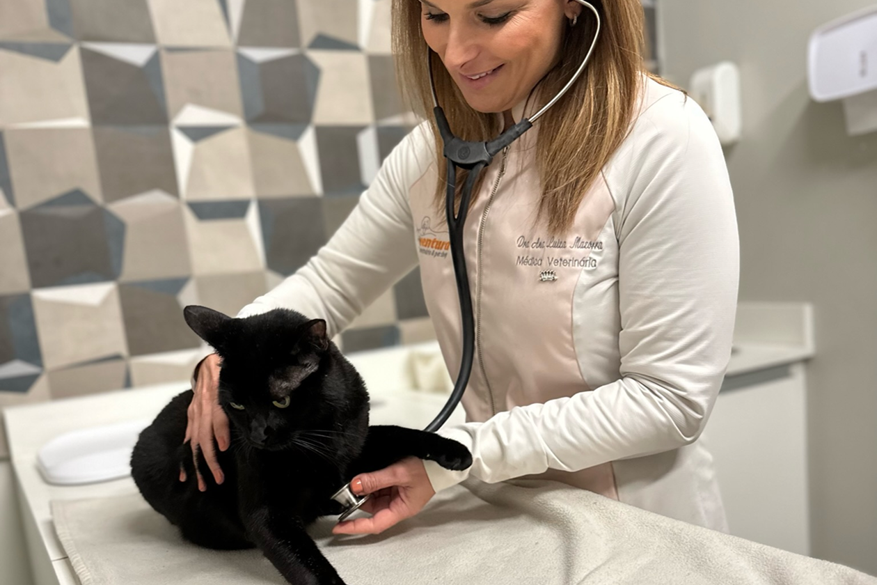 20230209153325_IMG_4170 10