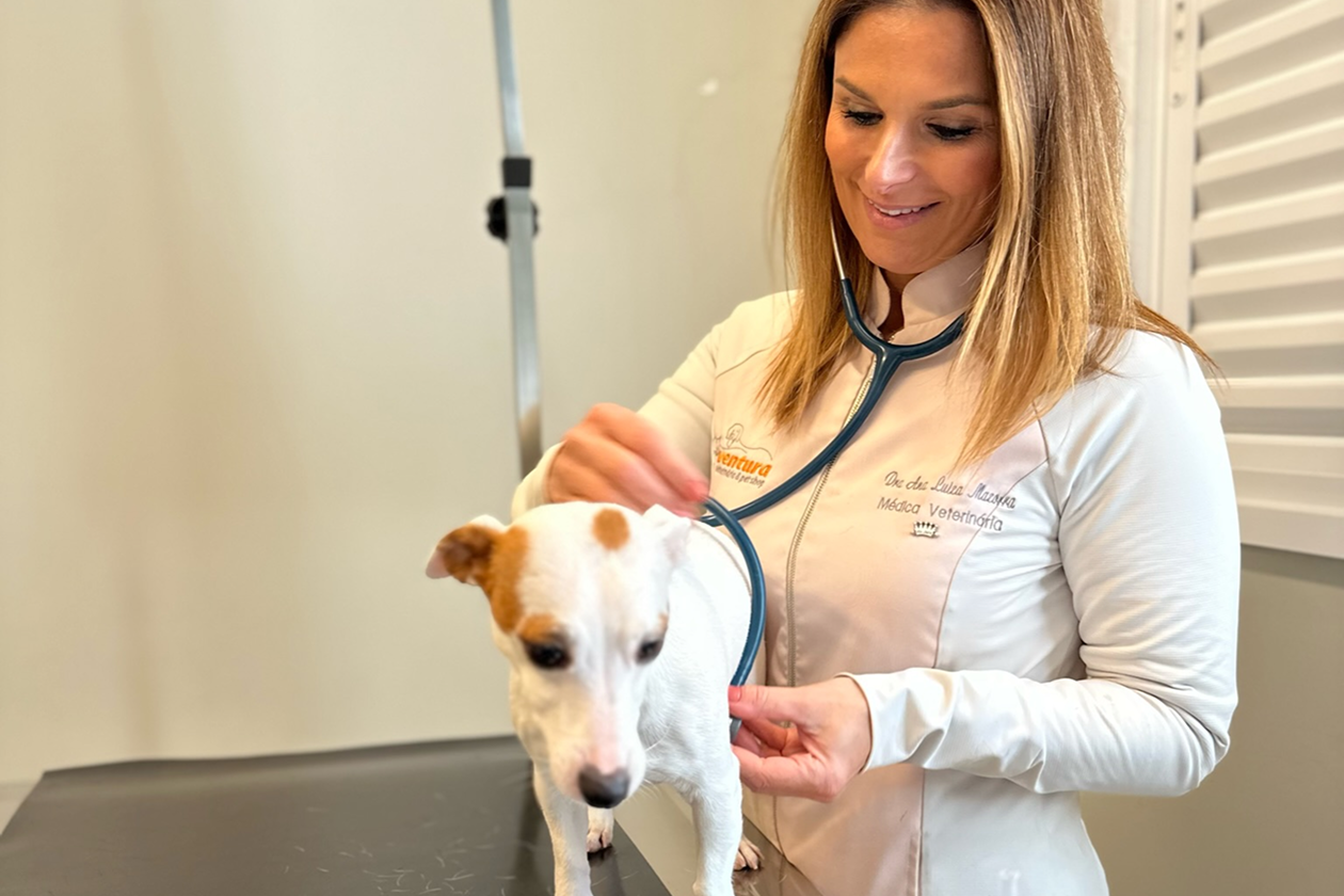 20230209153325_IMG_4170 11