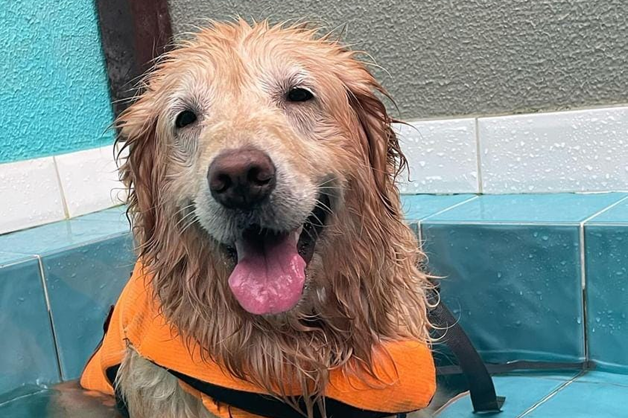 20230209153325_IMG_4170 2