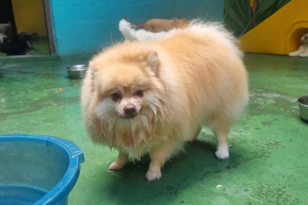 20230209153325_IMG_4170 3