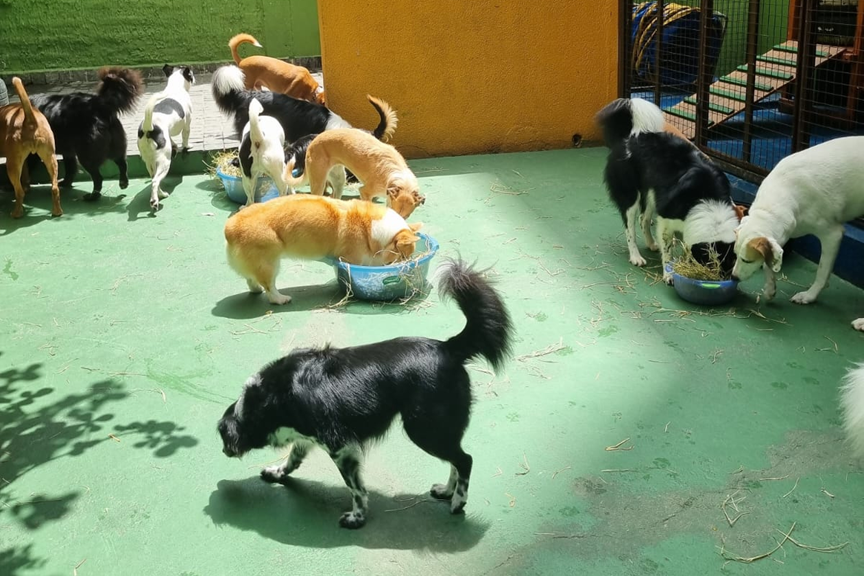 20230209153325_IMG_4170 4