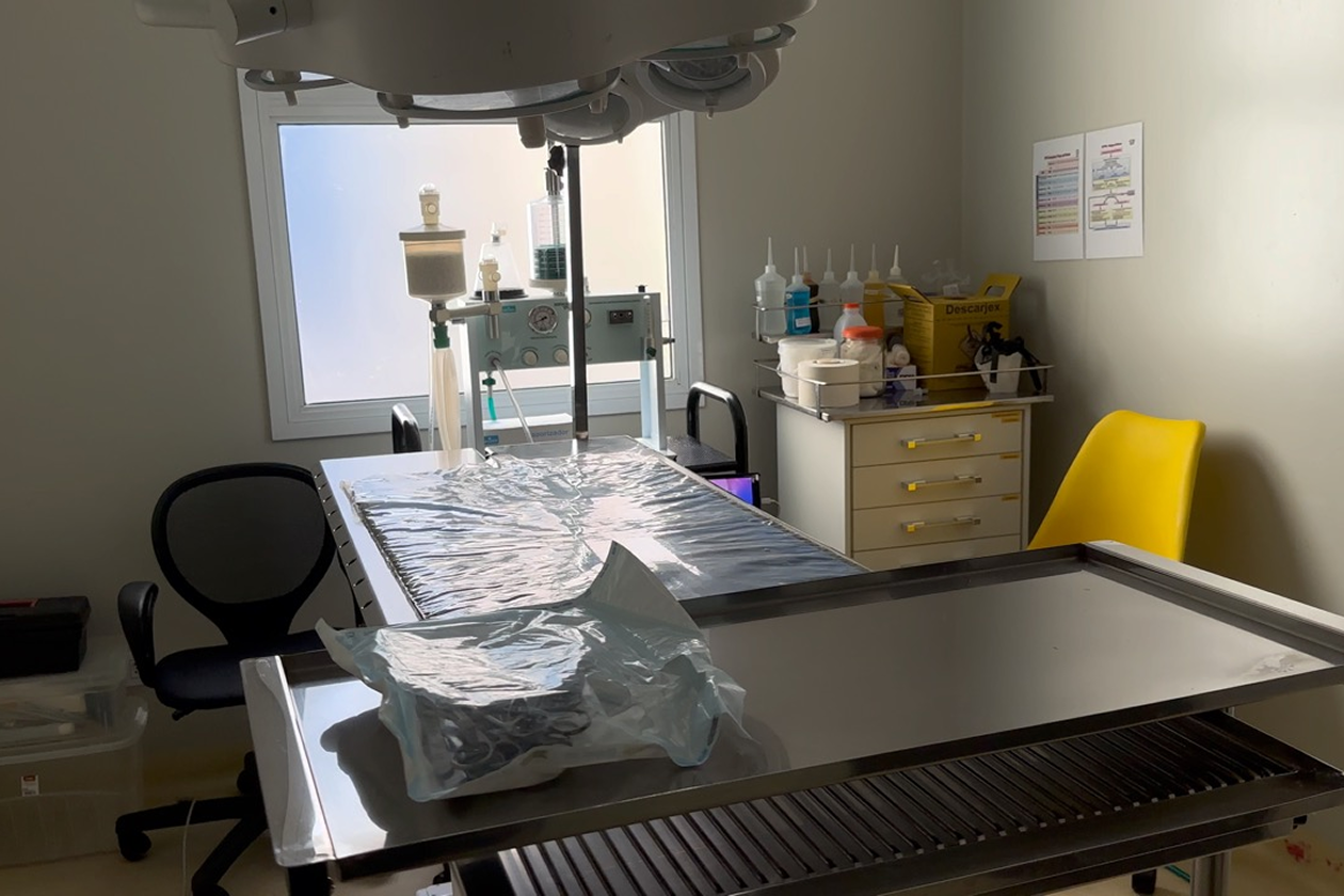 20230209153325_IMG_4170 5