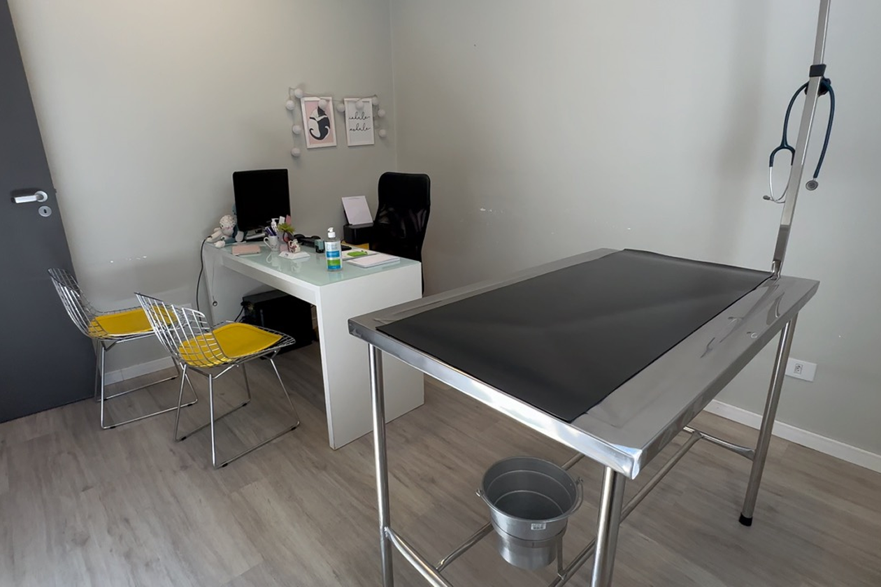 20230209153325_IMG_4170 7