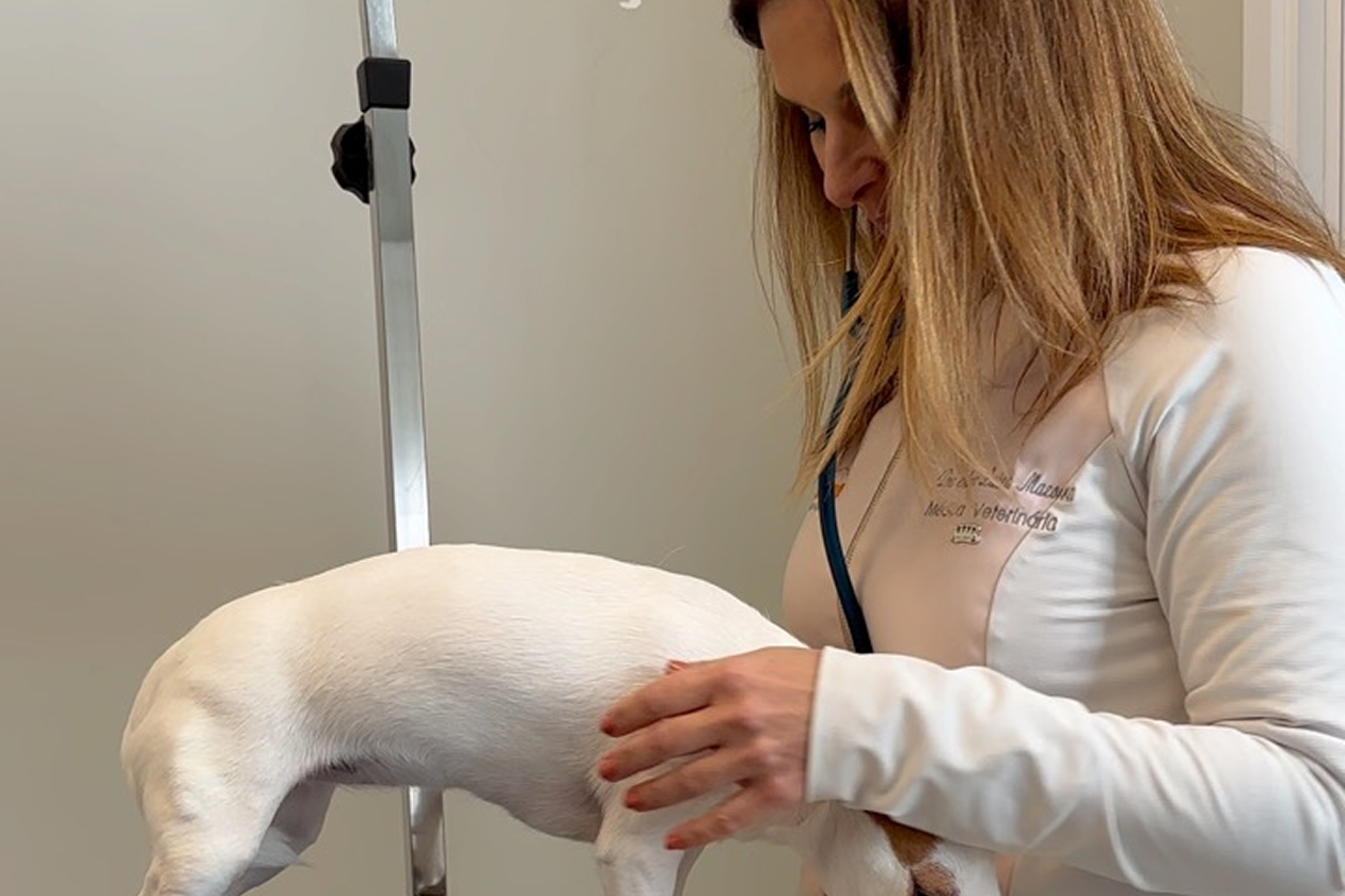 20230209153325_IMG_4170 8